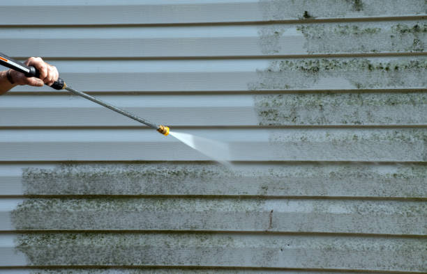Lakemoor, IL Pressure Washing Services Company