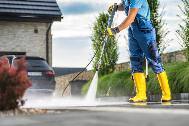 Animal Enclosure Cleaning in Lakemoor, IL
